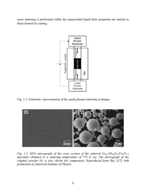 Metallic Glasses and Their Composites - Image 3