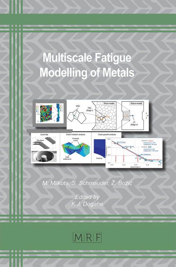 Multiscale Fatigue Modelling of Metals, PDF eBook DRM Free